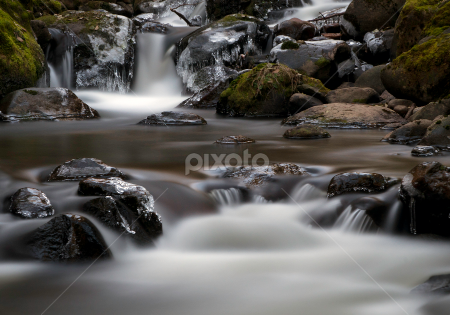 by Larry Rogers - Nature Up Close Water