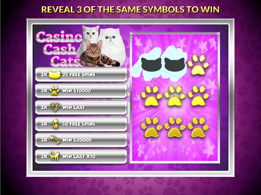 免費下載博奕APP|Casino Cash Cats - Slots PAID app開箱文|APP開箱王