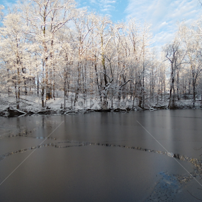 by Jonathan Aguirre - Landscapes Weather