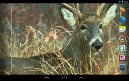 【免費個人化App】Deer Hunting Live Wallpaper ★-APP點子