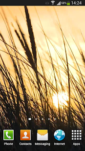 download Grass Live Wallpaper HD free