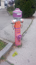 Colored Hydrant