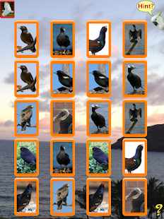 Birdy Brain Screenshots 3