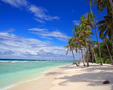 PARADISE WALLPAPERS Screenshots 5