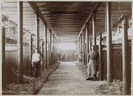 Interieur van een paardenstal met twee knechten