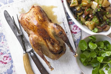 Roast pheasant with wild mushroom, potato & bacon ragout