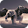 Flying Elephants Live Wallpap Download on Windows