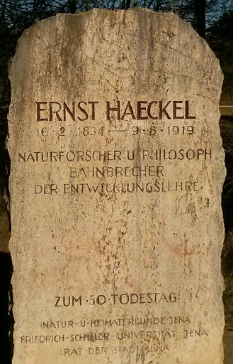 Haeckelstein