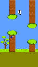 Ducks novice tunnel poster 2