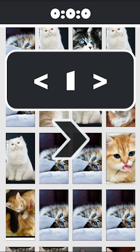 Cat Picture Matching