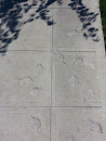 Falling Leaves in Concrete