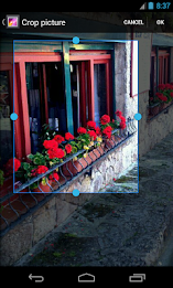 old image effect poster 1