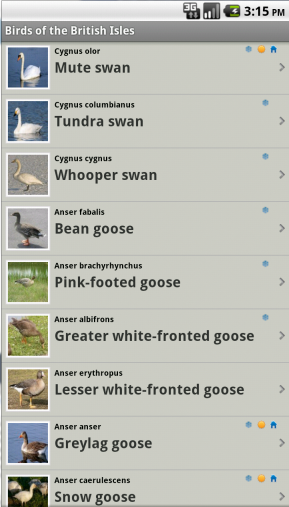 Birds from the British Isles Screen 2
