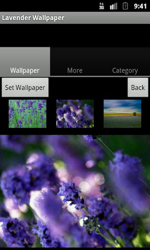 免費下載攝影APP|Lavender Wallpaper app開箱文|APP開箱王