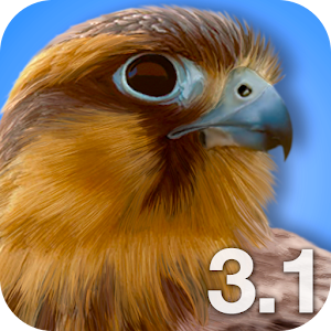 iBird Pro North America icon