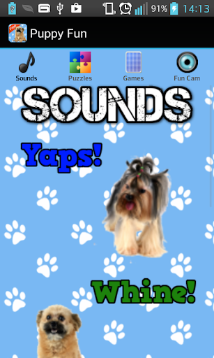 Puppy Games Free for Kids