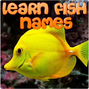 Learn Fish Names Screenshots 6