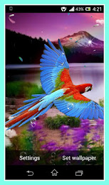 Parrot Live Wallpaper poster 5