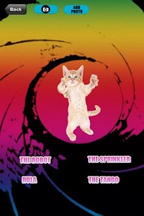 How to get Cat Dance Party 1.0 apk for pc
