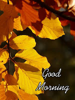 Good Morning Images APK צילום מסך #11