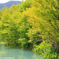 雲山水 VillaHome 民宿