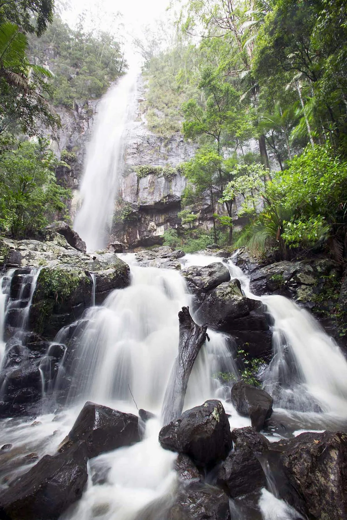 Protesters_Falls_Nightcap_National_Park - A woman pauses on a bridge near Protesters Falls, Nightcap National Park near Nimbin - Mullumbimby, Northern Rivers, New South Wales, Australia.