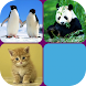 Animal Match Memory training