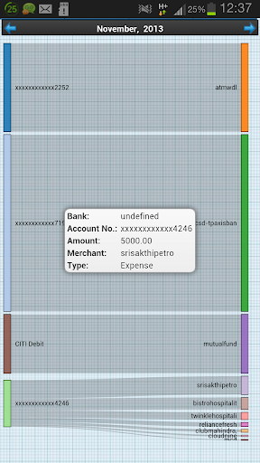 Income Expense Visuals