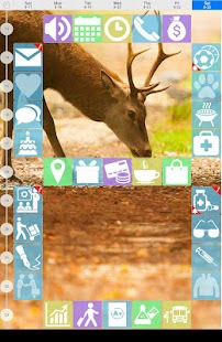Weekly Grid Screenshots 6