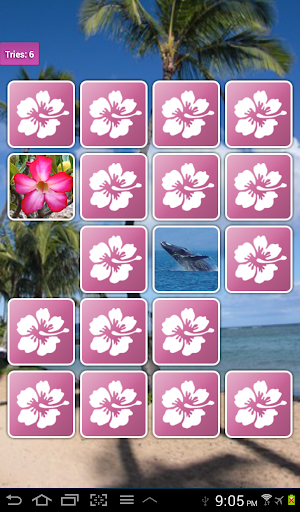 【免費解謎App】Hawaii Memory Game-APP點子