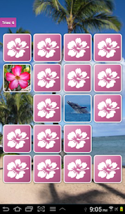 Hawaii Memory Game Screenshots 0