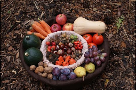 Vegetable Gardening