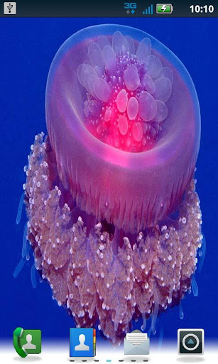 Color Jellyfish LWP Pro