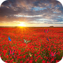 Sea Of Flowers icon