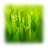 Crickets Pro logo