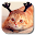 Q Kitten Live Wallpaper Download on Windows