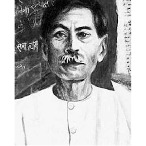 Premchand: Novels and Stories.apk 4.0