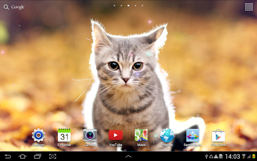 【免費個人化App】Cat Live Wallpaper-APP點子