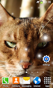 Angry Cat Live Wallpaper Screenshots 13