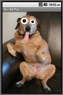 Free Squishy Pup APK