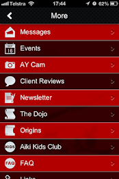 Aikido Yoshinkai poster 14