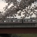 Beautiful scenery of Japan 9 logo