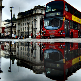 Bus in Piccadilly Circus, London by Steve Cooke - Transportation Other