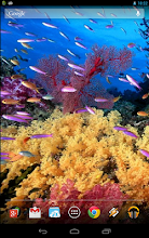 Magic Touch: Coral Reef Live Wallpaper APK Download for Android