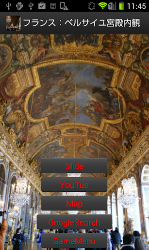 フランス：ベルサイユ宮殿内観 FR005