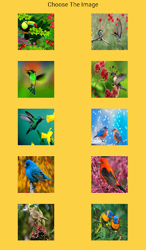 Birds Puzzle Game