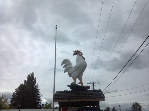 The Nooksack Rooster