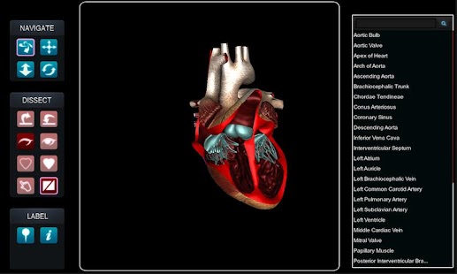 How to mod VirtualHeart3D lastet apk for laptop