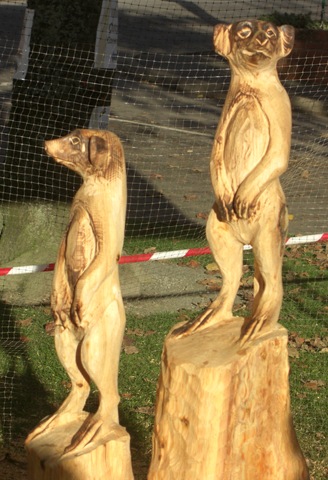 [woodfest chain saw meercats[4].jpg]