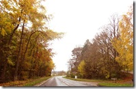 autumn road out of town